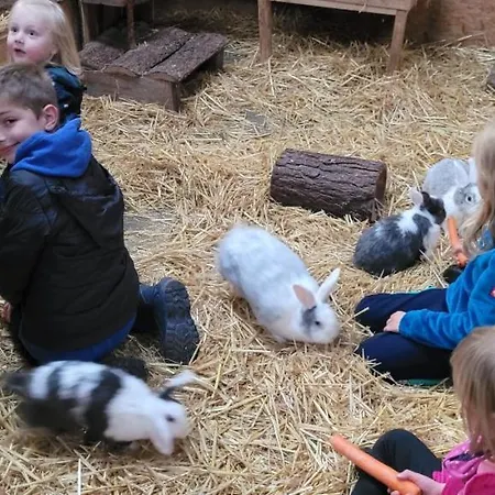 Ferien-bauernhof Kindt Schonwalde am Bungsberg